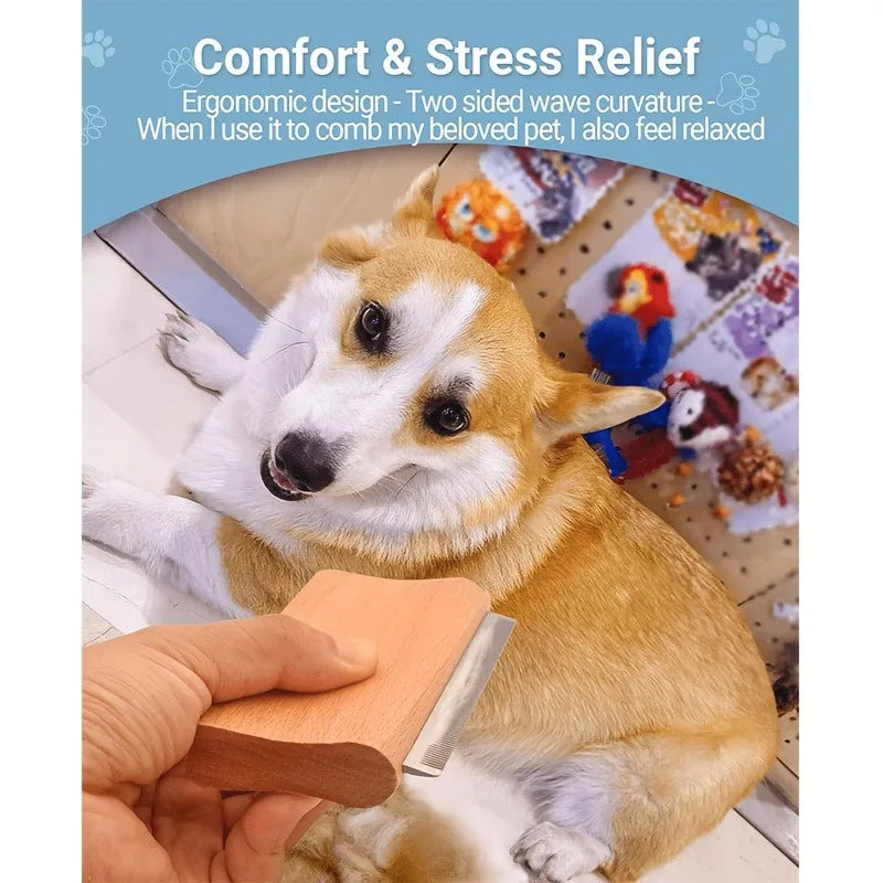 Un corgi se fait brosser avec la brosse de mue en bois