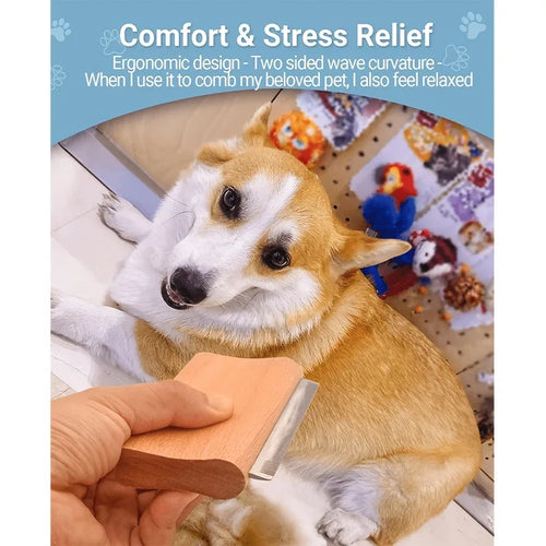 Un corgi se fait brosser avec la brosse de mue en bois