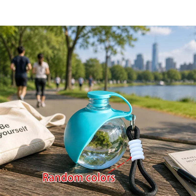 La gourde turquoise posée sur un sac, au bord d'un parc