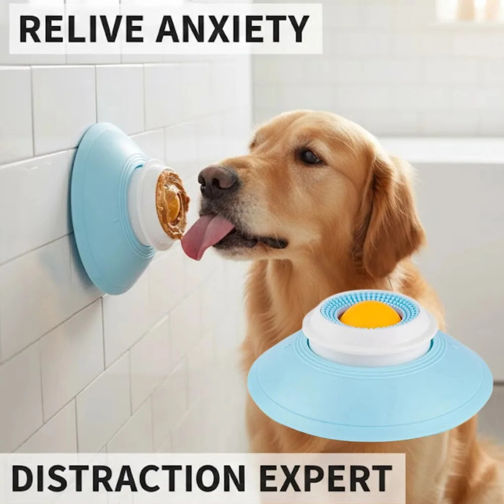 Un golden retriever lèche le plateau fixé au carrelage